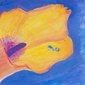 Blüten - riesengroß