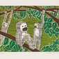 Gibbons