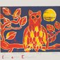 Eule